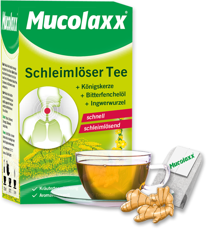 Mucolaxx® Schleimlöser Tee
